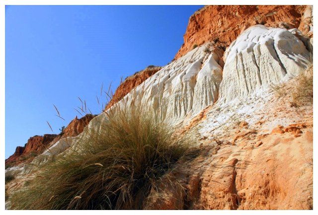Zdjęcia: plaża, Algarve, Trawa, PORTUGALIA Zdjęcia: plaża, Algarve, Trawa, PORTUGALIA
