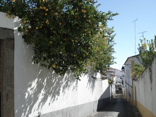 Zdjęcia: Evora, Evora, Uliczka w Evorze, PORTUGALIA Zdjęcia: Evora, Evora, Uliczka w Evorze, PORTUGALIA