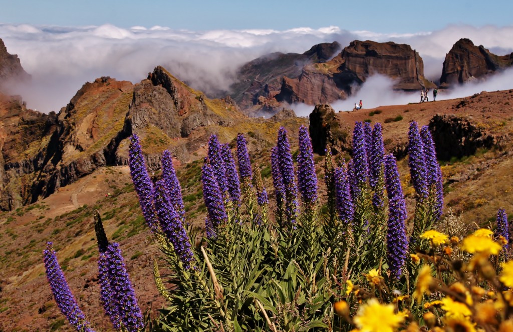 Zdjęcia: Pico Do Arieiro, Madera, W górach..., PORTUGALIA Zdjęcia: Pico Do Arieiro, Madera, W górach..., PORTUGALIA