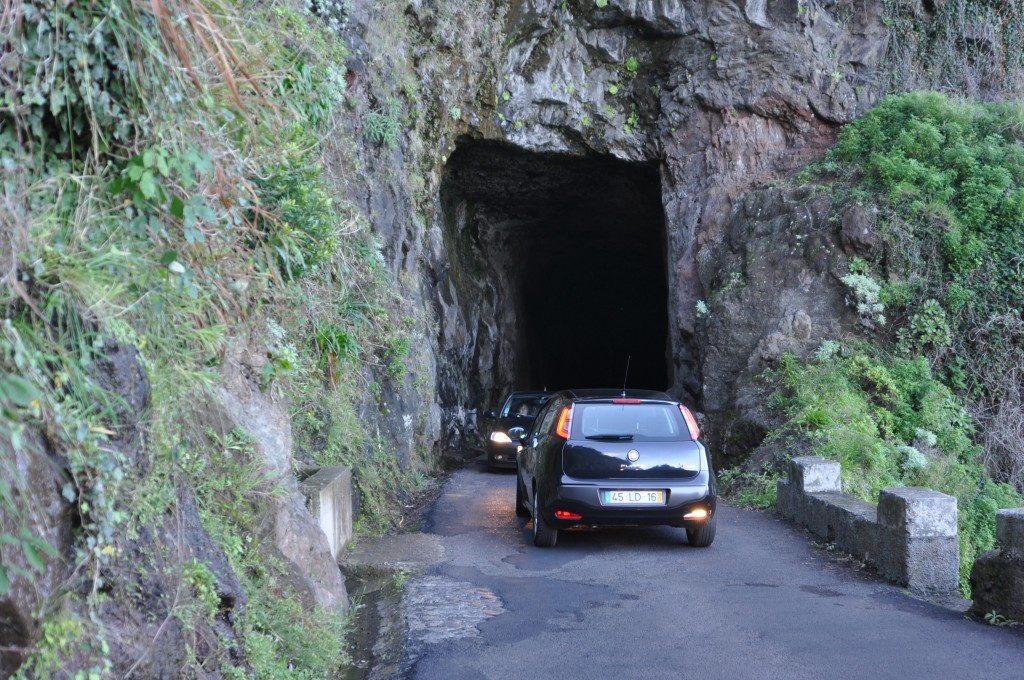 Zdjęcia: W pobliżu Ponta Delgada, Madera, północno-wschodnie wybrzeże, Mijanka, PORTUGALIA Zdjęcia: W pobliżu Ponta Delgada, Madera, północno-wschodnie wybrzeże, Mijanka, PORTUGALIA