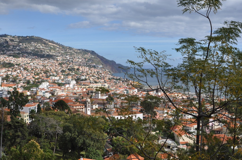 Zdjęcia: Funchal, Madera, Miasto Funchal, PORTUGALIA Zdjęcia: Funchal, Madera, Miasto Funchal, PORTUGALIA