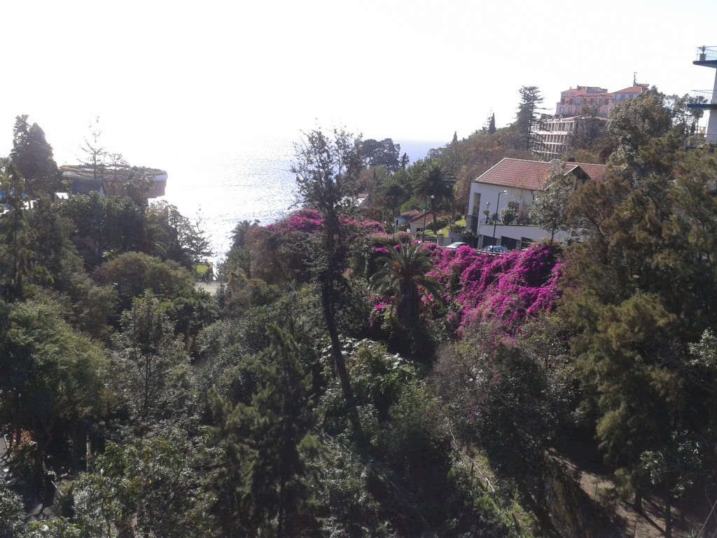 Zdjęcia: FUNCHAL, MADEIRA, ZIELONA I KWIECISTA MADEIRA , PORTUGALIA Zdjęcia: FUNCHAL, MADEIRA, ZIELONA I KWIECISTA MADEIRA , PORTUGALIA