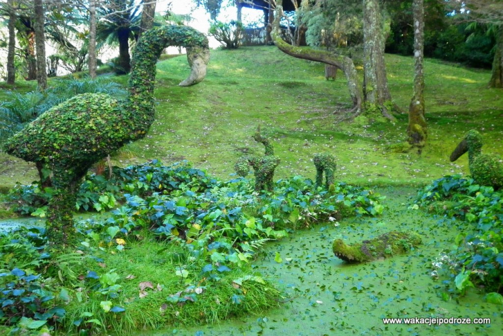 Zdjęcia: Sao Miguel, Azory, Kamienny sen ..., PORTUGALIA Zdjęcia: Sao Miguel, Azory, Kamienny sen ..., PORTUGALIA