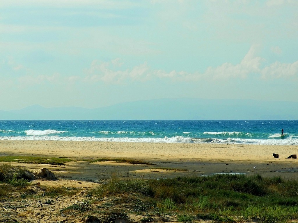 Zdjęcia: faro, faro, wild beach, PORTUGALIA Zdjęcia: faro, faro, wild beach, PORTUGALIA