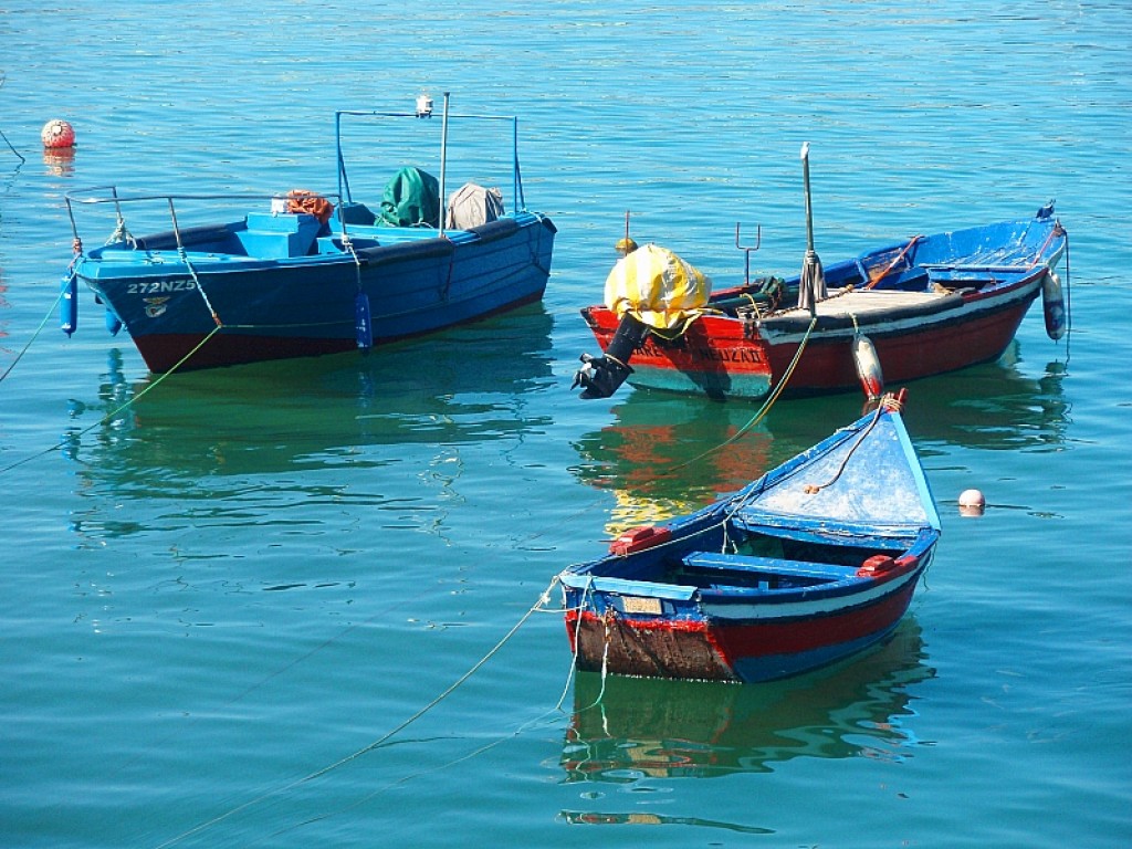 Zdjęcia: Nazare, Nazare, boats in port, PORTUGALIA Zdjęcia: Nazare, Nazare, boats in port, PORTUGALIA