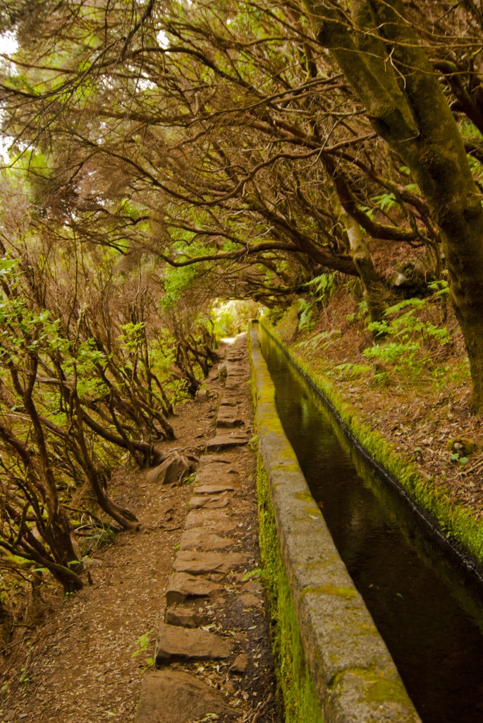 Zdjęcia: Levada 25Fontes, Madera, Levada, PORTUGALIA Zdjęcia: Levada 25Fontes, Madera, Levada, PORTUGALIA