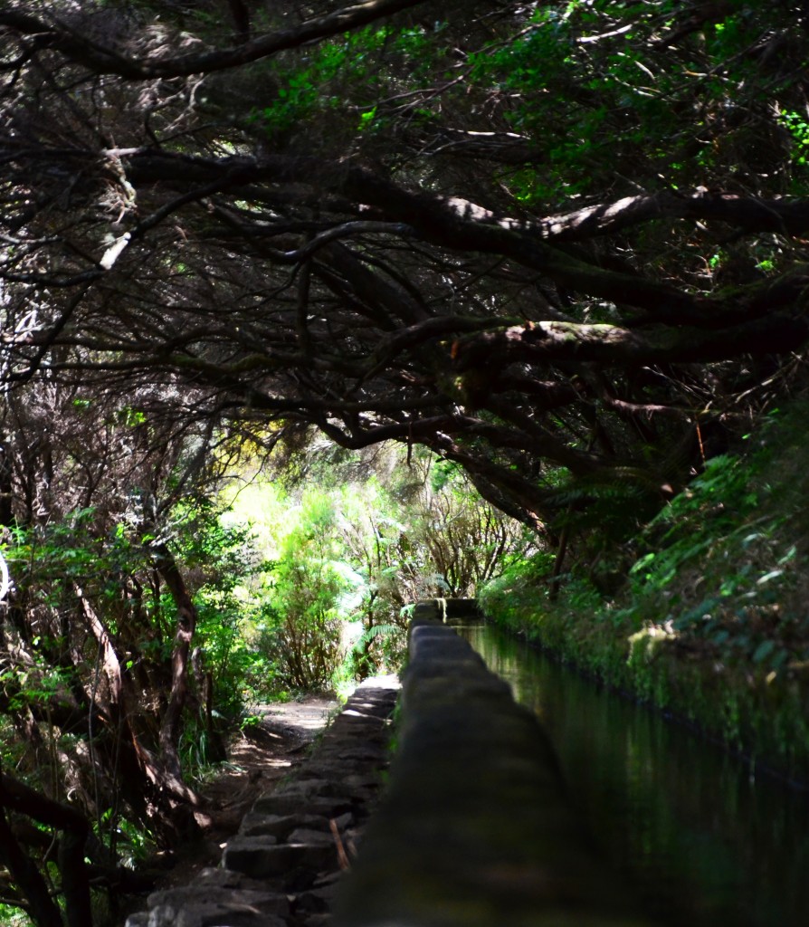 Zdjęcia: Ribeira da Janela, Madera, lewada..., PORTUGALIA Zdjęcia: Ribeira da Janela, Madera, lewada..., PORTUGALIA