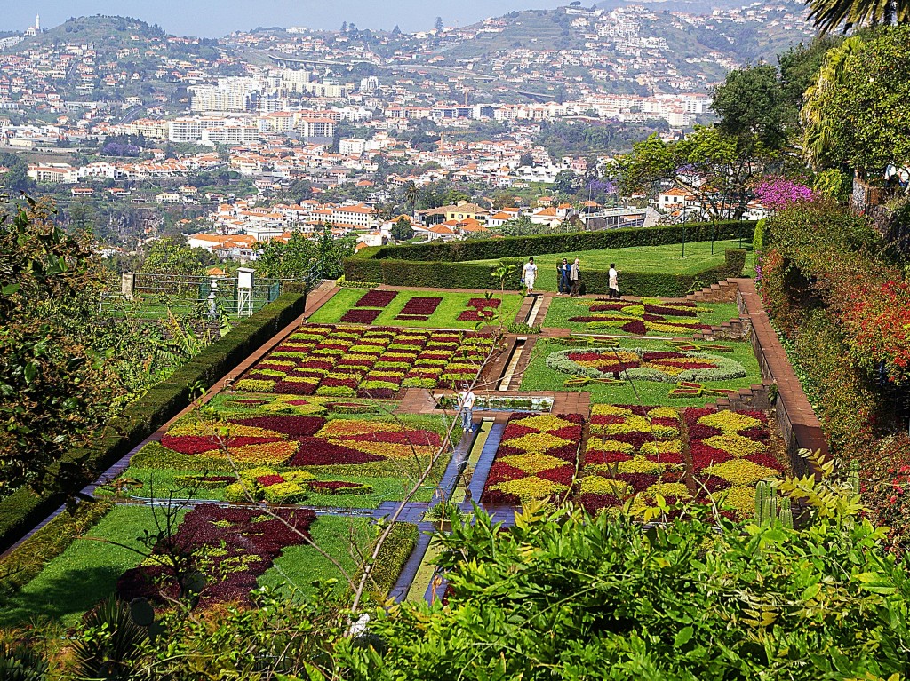 Zdjęcia: Funchal, Madera, Ogród botaniczny w Funchal, PORTUGALIA Zdjęcia: Funchal, Madera, Ogród botaniczny w Funchal, PORTUGALIA