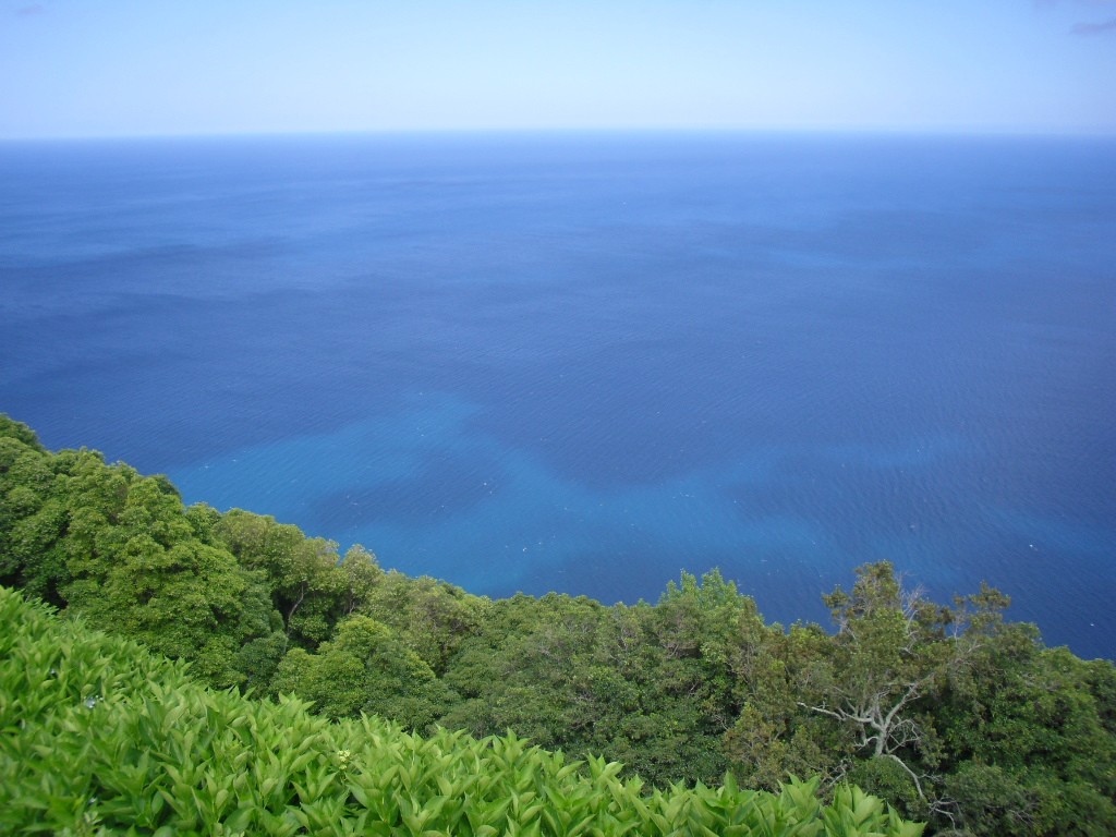 Zdjęcia: SAO MIGUEL , AZORY, zieleń przyrody vs niebieść oceanu, PORTUGALIA Zdjęcia: SAO MIGUEL , AZORY, zieleń przyrody vs niebieść oceanu, PORTUGALIA