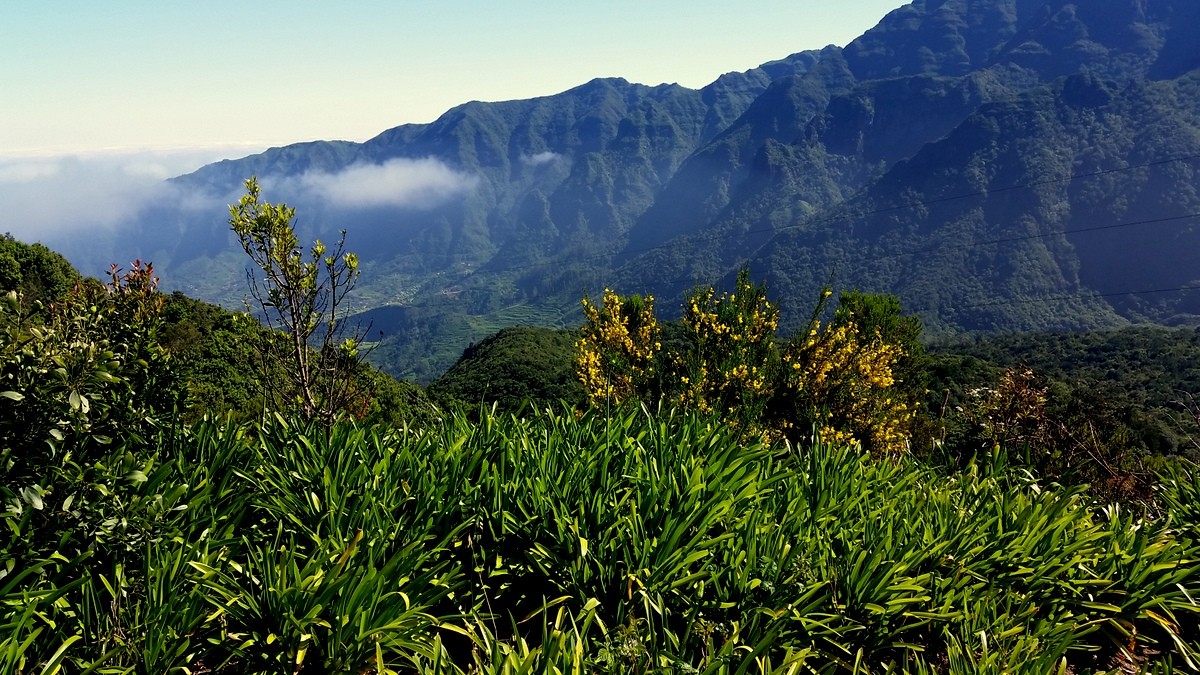 Zdjęcia: MADERA, MADERSKIE WIDOCZKI, PORTUGALIA Zdjęcia: MADERA, MADERSKIE WIDOCZKI, PORTUGALIA