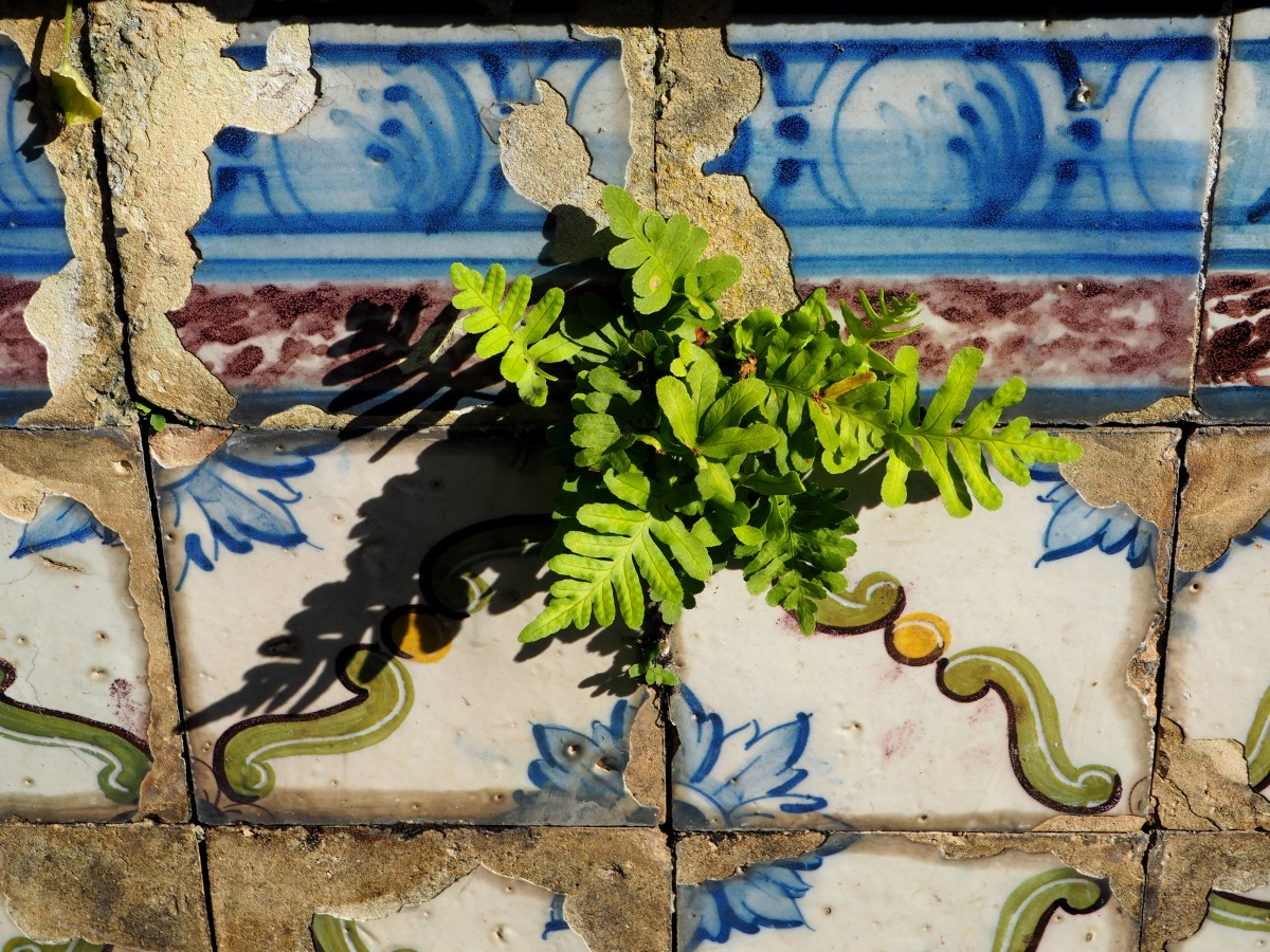 Zdjęcia: Lizbona, zachodnia część Płw. Iberyjskiego, W słońcu, PORTUGALIA Zdjęcia: Lizbona, zachodnia część Płw. Iberyjskiego, W słońcu, PORTUGALIA