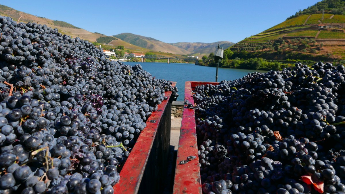 Zdjęcia: Pinhao, dolina Douro, wino, PORTUGALIA Zdjęcia: Pinhao, dolina Douro, wino, PORTUGALIA