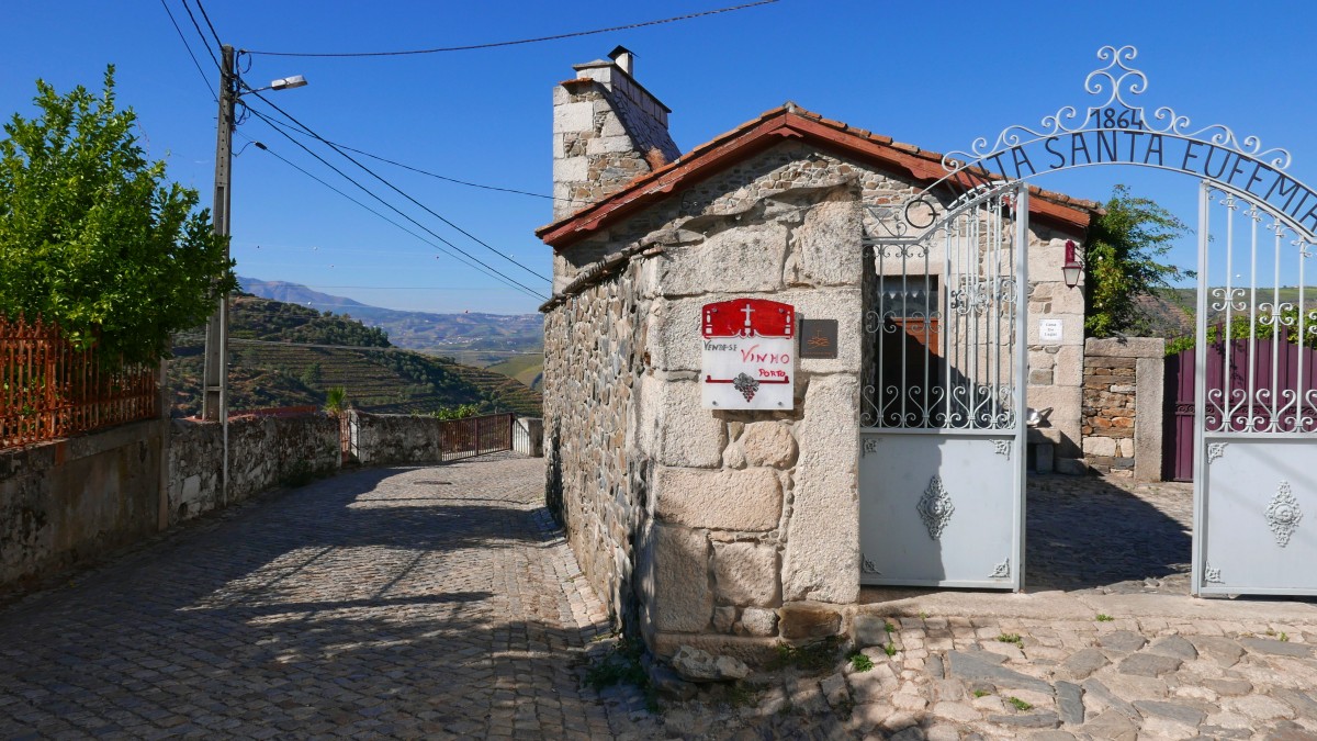 Zdjęcia: dolina Douro, dolina Douro, rodzinna winiarnia Quinta Santa Eufemia, PORTUGALIA Zdjęcia: dolina Douro, dolina Douro, rodzinna winiarnia Quinta Santa Eufemia, PORTUGALIA