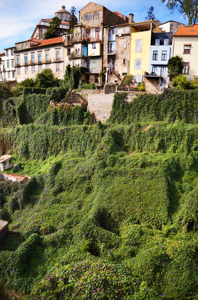 Zdjęcia: Porto, Porto, Porto, PORTUGALIA Zdjęcia: Porto, Porto, Porto, PORTUGALIA