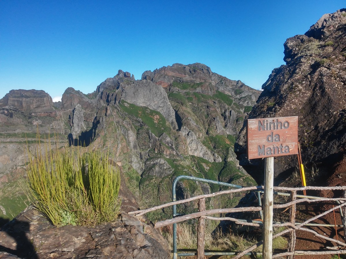 Zdjęcia: góry Madery, madera, w drodze na szczyt, PORTUGALIA Zdjęcia: góry Madery, madera, w drodze na szczyt, PORTUGALIA