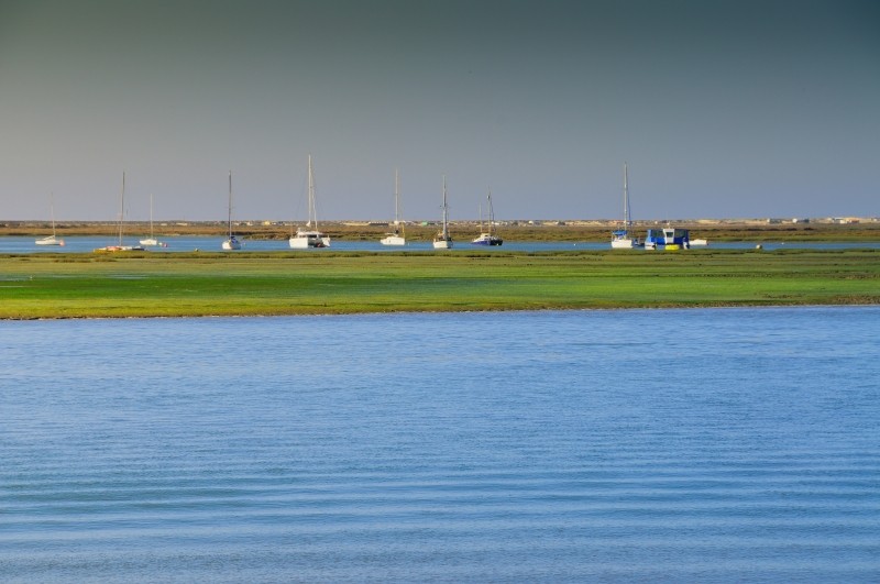 Zdjęcia: Okolice Faro, Algarve, Park Naturalny Ria Formosa, PORTUGALIA Zdjęcia: Okolice Faro, Algarve, Park Naturalny Ria Formosa, PORTUGALIA