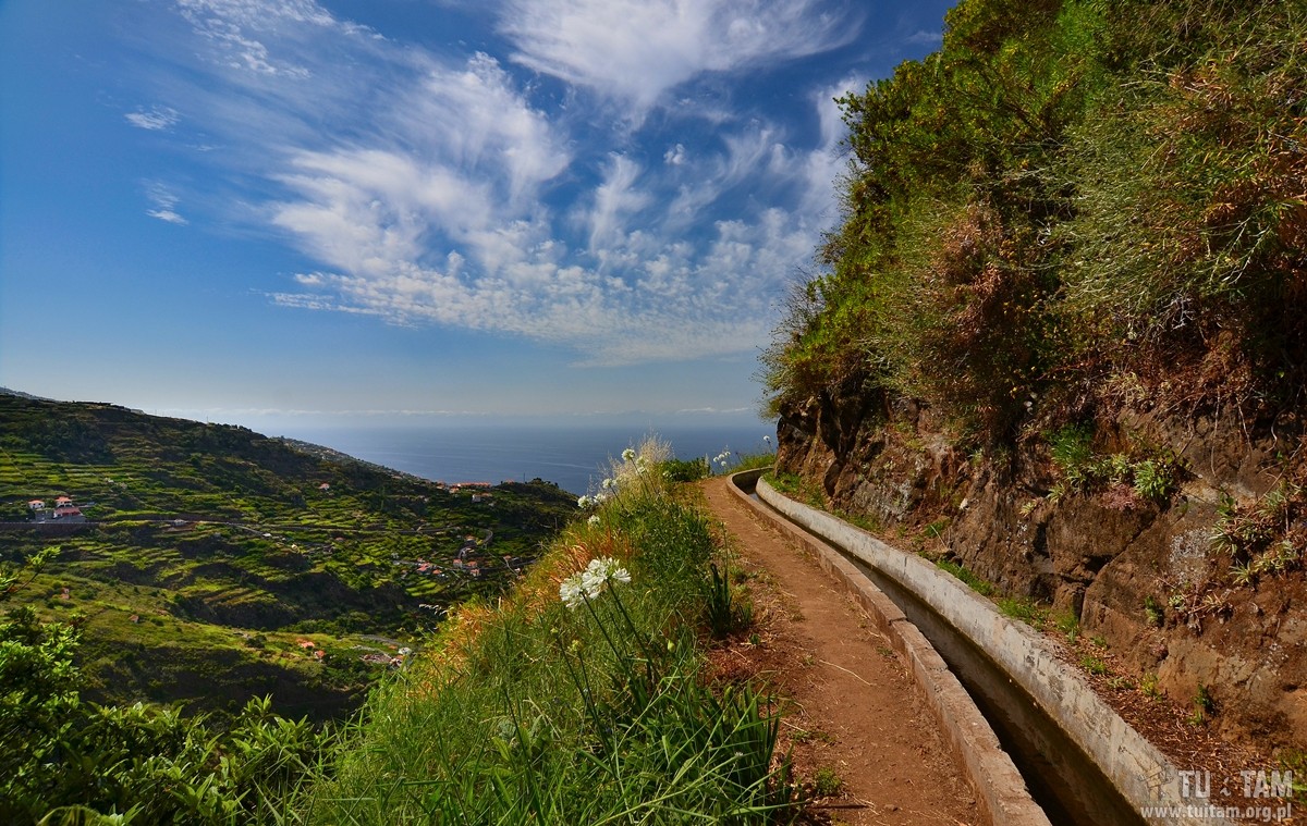 Zdjęcia: Levada Nova, Madera, Lewada Nova, PORTUGALIA Zdjęcia: Levada Nova, Madera, Lewada Nova, PORTUGALIA