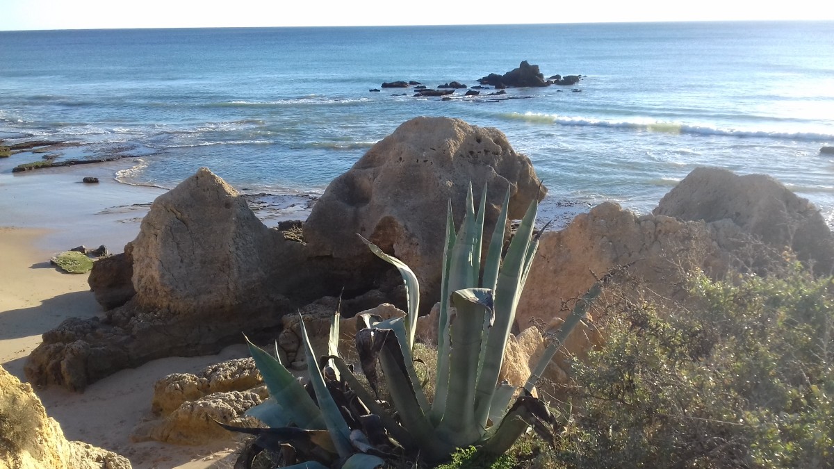 Zdjęcia: Albufeira, Wybrzeże Algavre, PORTUGALIA Zdjęcia: Albufeira, Wybrzeże Algavre, PORTUGALIA