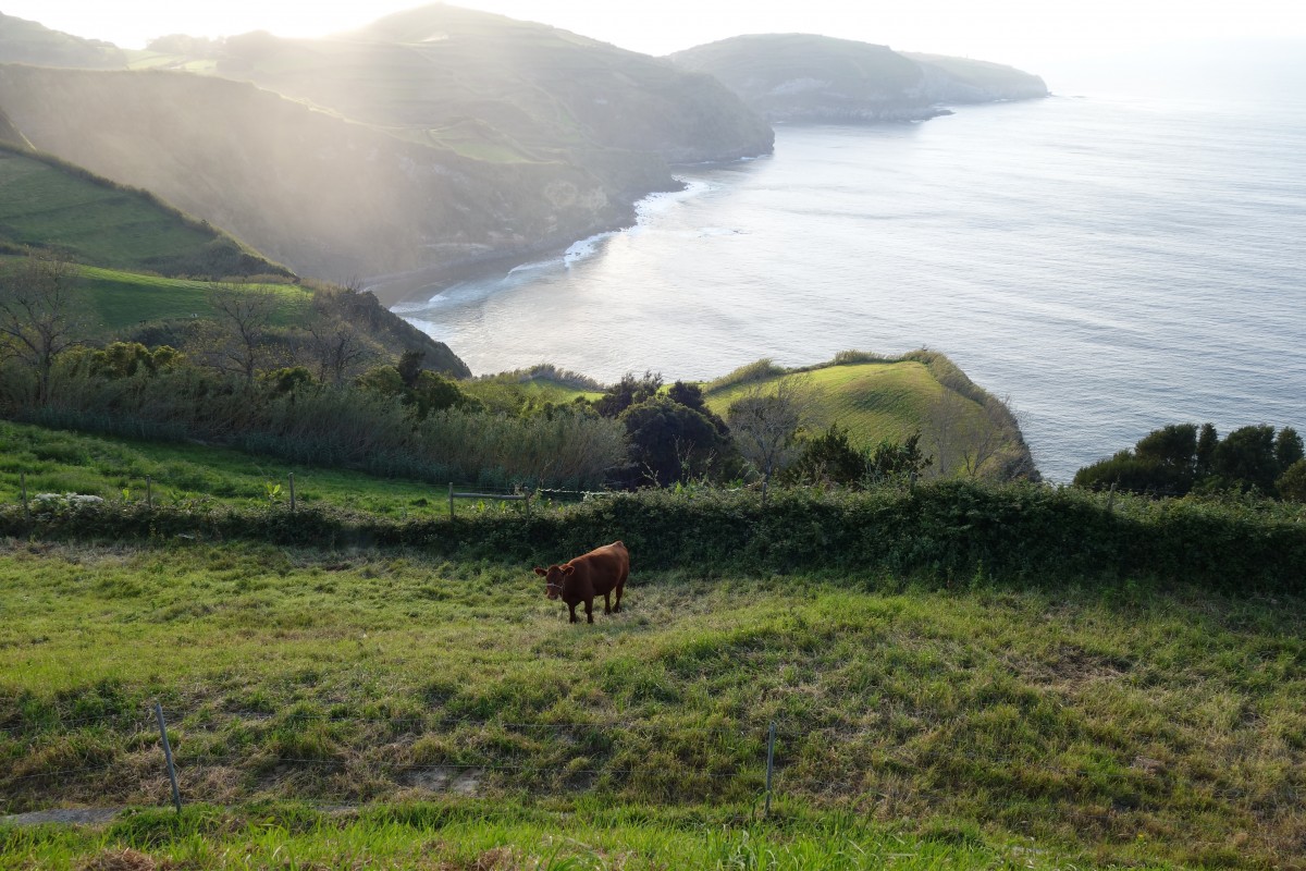 Zdjęcia: Sao Miguel, Azory, zielona wyspa, PORTUGALIA Zdjęcia: Sao Miguel, Azory, zielona wyspa, PORTUGALIA