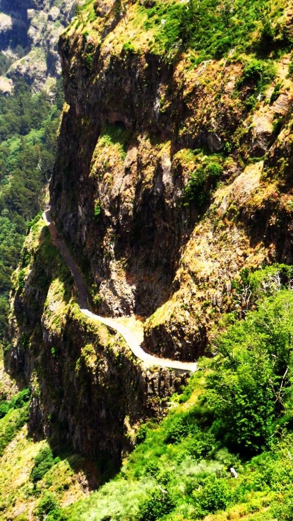 Zdjęcia: Madara Centralna, Madera, Eira do Serrado - stara droga, PORTUGALIA Zdjęcia: Madara Centralna, Madera, Eira do Serrado - stara droga, PORTUGALIA
