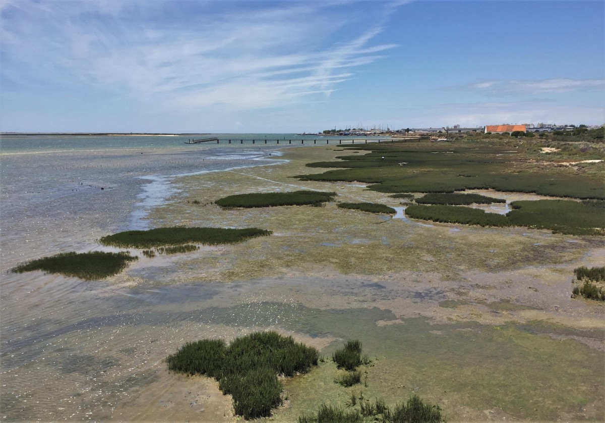 Zdjęcia: Ria Formosa Natural Park, Algarve, Ria Formosa..., PORTUGALIA Zdjęcia: Ria Formosa Natural Park, Algarve, Ria Formosa..., PORTUGALIA
