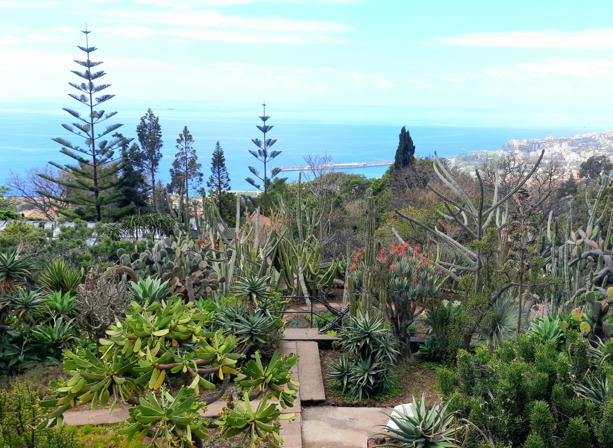 Zdjęcia: Funchal , Madera, Park, PORTUGALIA Zdjęcia: Funchal , Madera, Park, PORTUGALIA