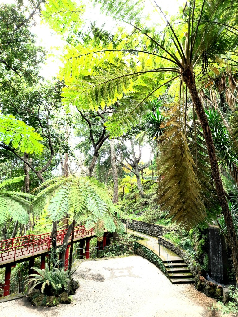 Zdjęcia: Funchal Monte Palace, Madera , Prawie jak w Jurassic Park, PORTUGALIA Zdjęcia: Funchal Monte Palace, Madera , Prawie jak w Jurassic Park, PORTUGALIA
