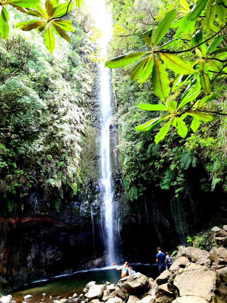 Zdjęcia: Levada das 25 Fontes , Madera , Piękny wodospad na końcu trasy, PORTUGALIA Zdjęcia: Levada das 25 Fontes , Madera , Piękny wodospad na końcu trasy, PORTUGALIA