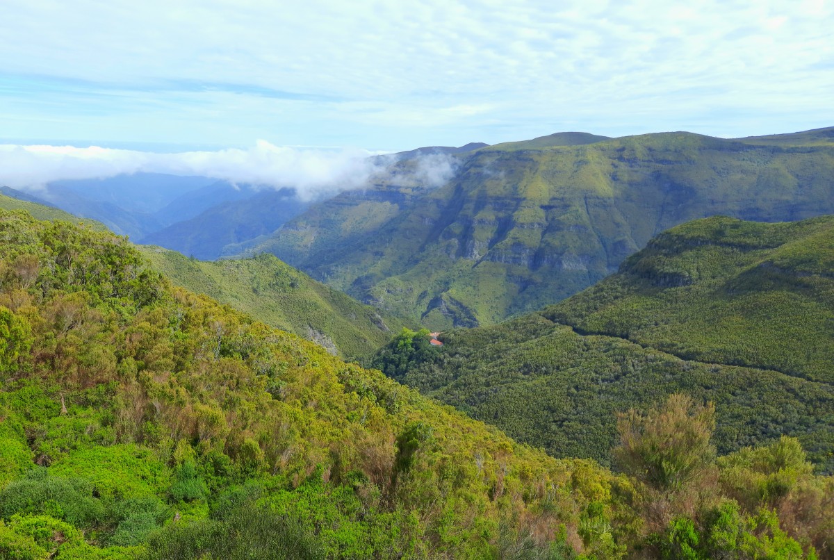 Zdjęcia: Levada das 25 Fontes , Madera , Góry, chmury I mgły, PORTUGALIA Zdjęcia: Levada das 25 Fontes , Madera , Góry, chmury I mgły, PORTUGALIA