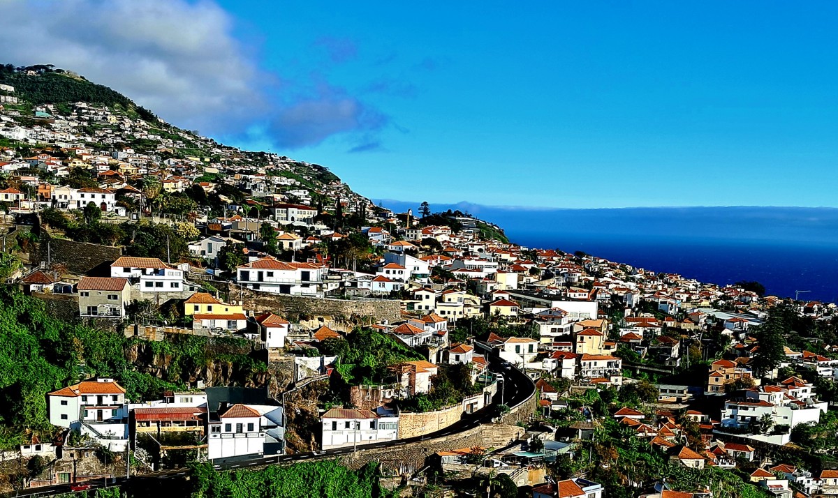 Zdjęcia: Funchal, Madera, Na stoku, PORTUGALIA Zdjęcia: Funchal, Madera, Na stoku, PORTUGALIA