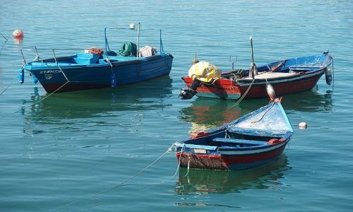 Zdjęcie PORTUGALIA / Nazare / Nazare / łodzie w porcie