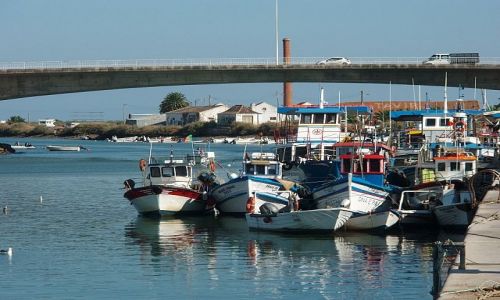 Zdjęcie PORTUGALIA / Faro / Tavira / port w Tavirze