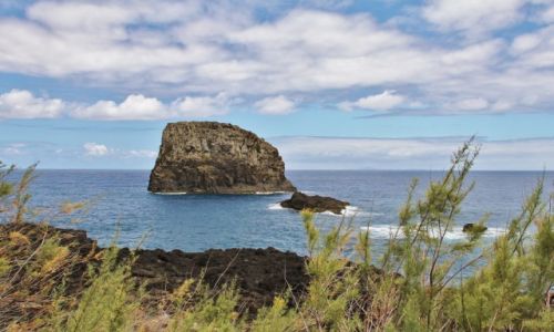 Zdjcie PORTUGALIA / Madera / Faial / Skaka