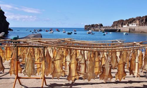 Zdjecie PORTUGALIA / Madera / Camara de Lobos / Moe rybk?