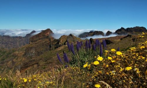 Zdjecie PORTUGALIA / Madera / Pico Do Arieiro / Konkurs - Gry moja mio