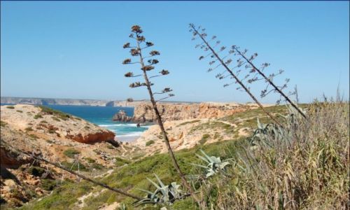 Zdjcie PORTUGALIA / Algarve / Sagres / Spokoj wielki spokoj...