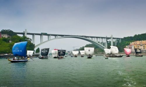 Zdjecie PORTUGALIA / Porto e Norte / Porto / Regata de Barcos Rabelos