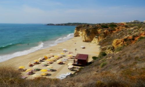Zdjcie PORTUGALIA / poudniowe wybrzee / Portimao / Algarve