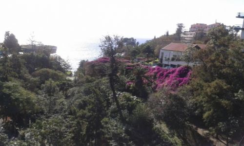Zdjecie PORTUGALIA / MADEIRA / FUNCHAL / ZIELONA I KWIECISTA MADEIRA 