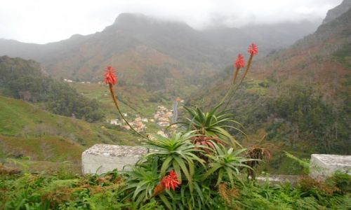 Zdjecie PORTUGALIA / MADEIRA INTERIOR / MADEIRA / MADEIRA