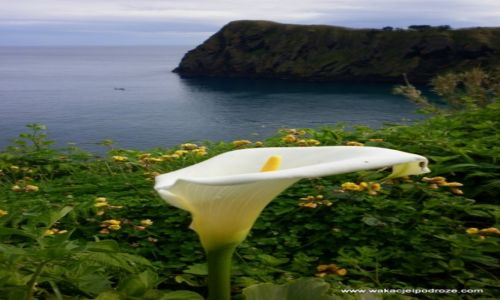 PORTUGALIA / Azory / Sao Miguel / Azory - Sao Miquel