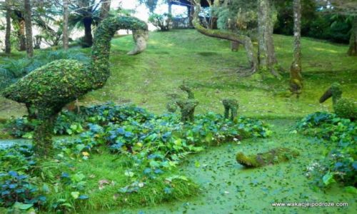 PORTUGALIA / Azory / Sao Miguel / Kamienny sen ...