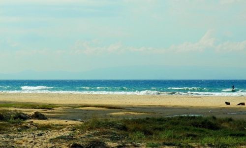Zdjęcie PORTUGALIA / faro / faro / wild beach