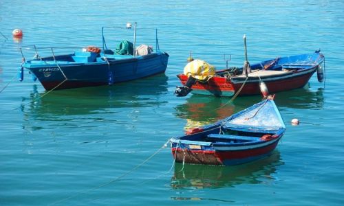 Zdjęcie PORTUGALIA / Nazare / Nazare / boats in port