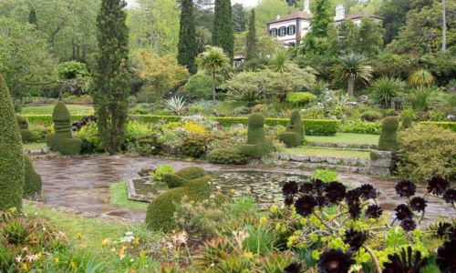 Zdj�cie PORTUGALIA / Madera / Ogrody Palheiro / Deszczowe ogrody