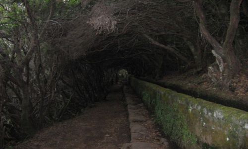 Zdjecie PORTUGALIA / MADERA / RABAAL / W KRAINIE HOBBITW