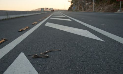 Zdjecie PORTUGALIA / Ponocna Portugalia / Ponocna Portugalia / W drodze