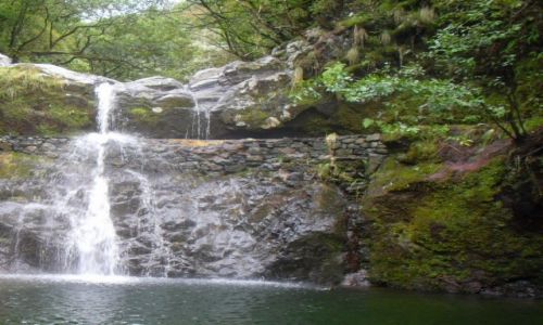 PORTUGALIA / MADEIRA / LEWADA RIBEIRO FRIO -PORTELA / NA SZLAKU  RIBEIRO FRIO-PORTELA