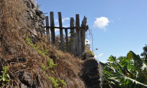 Zdjcie PORTUGALIA / Madera / Paul do Mar / Gospodarstwo