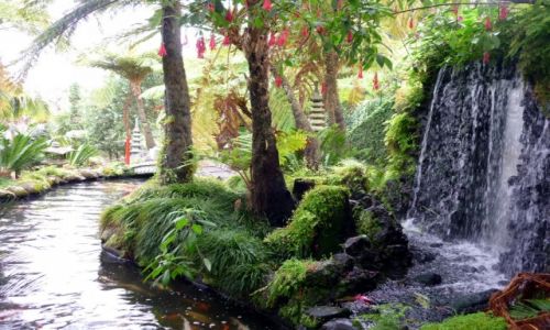Zdjęcie PORTUGALIA / Madera / Monte / Monte Gardens